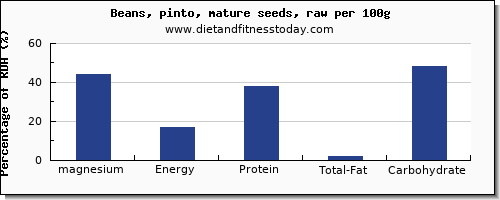 magnesium and nutrition facts in pinto beans per 100g